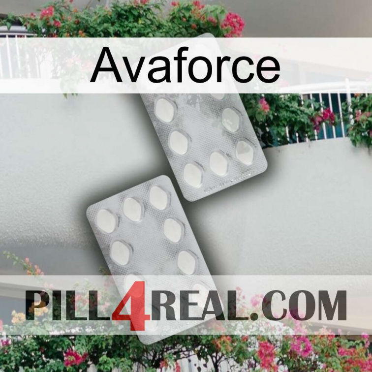 Avaforce 17